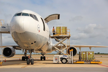 Cargo Services