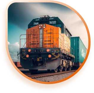 Customs Expertise